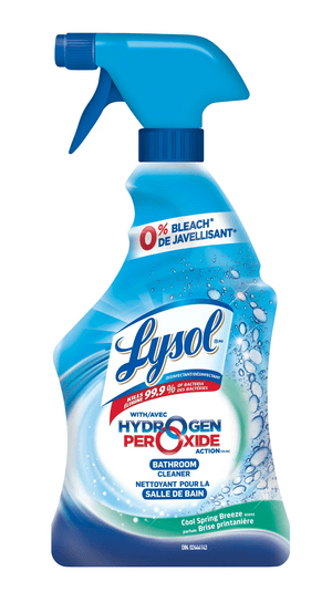Lysol/Lizol - CA - en-CA-ryri2tprdvlxofz6hvkw.png